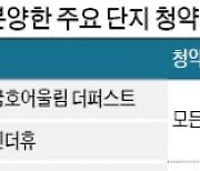 깊어지는 '미분양 수렁'..이달 21곳 중 12곳 청약미달