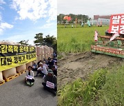 나락 쌓고, 추수 앞둔 논 갈아엎고..쌀값 폭락에 거리로 나온 농민들