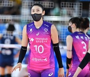 프로배구 새 시즌 일정 공개..김연경 복귀전은 10월 25일 페퍼전