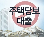 15억 초과 주택 대출 금지 언제쯤 풀릴까 [핫이슈]