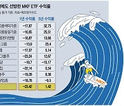 코스피 압도한 MKF ETF..고배당·그룹株로 '훨훨'