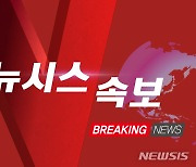 [속보]외환당국 "쏠림 가능성 모니터링" 공식 구두개입