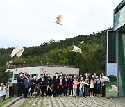 창공을 향해 날으는 창녕 우포따오기