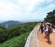 [남한땅 7정맥 ③호서정맥ㅣ구간종주 르포] 비밀의 문을 지나 아홉 딸이 죽은 산으로