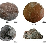[핵잼 사이언스] 중국서 '완벽한 구체' 보존된 1억년 전 공룡알 발견