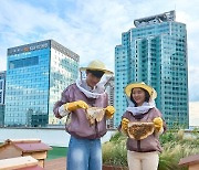 KB금융, 옥상 'K-Bee 도시양봉장' 서 첫 번째 꿀 수확