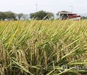 충북도, 연말까지 무단 휴경 등 농지이용 실태조사