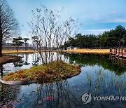 삼성전자, '신환경경영전략' 발표·친환경 경영 전환