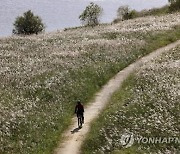 영산강·황룡강변 'Y 프로젝트' 시동..광주시, 용역 발주