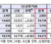 상호금융권 상반기 당기순익 2조4천억원..32% 증가