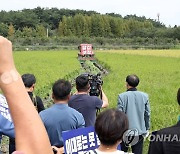 '쌀값 대책 마련 촉구' 볏논 갈아엎는 농민