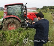 '쌀값 대책 마련 촉구' 볏논 갈아엎는 농민