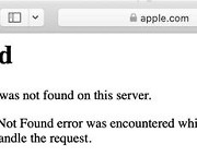 애플 홈페이지 한국·미국 등서 2시간 접속장애 후 복구