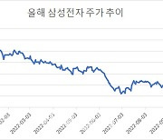 삼성전자, 장중 연중 신저가..개인 저가 매수 랠리