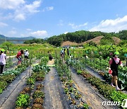 양평 대아초 '2022년 전국 환경교육 우수학교' 선정