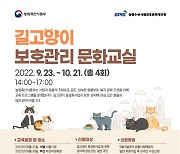 '길고양이 보호관리 문화교실' 열린다..올바른 보호방법 교육