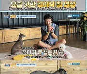 위너 이승훈 "이게 어른 강아지다"..반려견 오뜨에 눈높이 교육(종합)