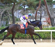 [경마]'혈통 금수저'말들의 1400m 1등급 경주, 우승후보는?