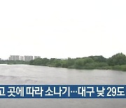 대구·경북 흐리고 곳에 따라 소나기..대구 낮 29도