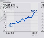 악! 달러..기업, 외화대출도 모자라 선물환 찾는다