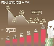 [그래픽] 부동산 임대업 법인 3만개 넘어..평균 수입은 감소 추세