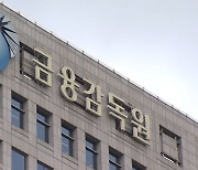 금감원, 손보사 건전성 들여다 본다..흥국화재·한화손해보험 '도마 위'