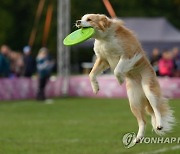 POLAND ANIMALS DOGFRISBEE EVENT