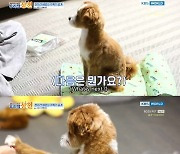 윤지성, 반려견 베로 주특기 대공개.."천재야!" 칭찬 일색 [RE:TV]