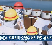 IAEA, 후쿠시마 오염수 처리 과정 분석 착수