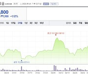 '내리막 증시'서 역주행한 덴티움..연초 대비 34% 상승 [한재영의 바이오 핫앤드콜드]