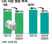 '효자' 이미지센서마저..불황 깊어지는 반도체