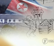 "尹정부, 북핵에도 인권문제 대화 테이블에 계속 올려야"