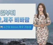 [날씨] 내일 제주, 영남해안 태풍 영향..시간당 60mm 폭우