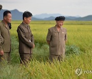 북한 김덕훈 내각총리, 태탄군 옥암농장 농사실태 현지 요해