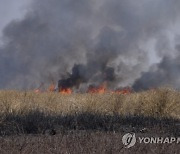 Argentina Fires Wetland