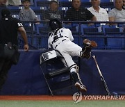 Rangers Rays Baseball