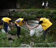 법무부 '사회통합 이민자 멘토단' 청계천 환경정화