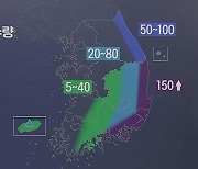 '태풍 영향' 경남 남해안 강한 비바람..최대 150mm↑ 폭우