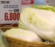 '9월 배추 도매가 전월 대비 36.5%↑'