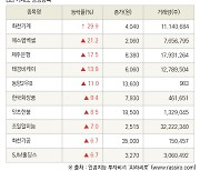 [fnRASSI]장마감, 거래소 상승 종목(화천기계 29.9% ↑)