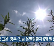 '이상 고온' 광주·전남 온열질환자 6명 발생
