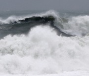 Typhoon Nanmadol hits southern coastal areas of S. Korea