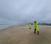 태풍 올라오는 새벽 바닷가 나간 40대 여성 실종