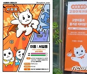 "길동무와 공존하는 고양이북카페로 오세요"..'서동행의 밤' 열려