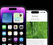 "애플 덕에 웃는다"..잘 나가는 '아이폰14'에 웃는 삼성·LG, 이유는?