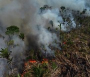 2022년 발생한 브라질 아마존 화재..이미 작년 총계 넘어서