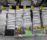[단독] 신종마약 '야바' 농촌까지 퍼졌다..불법체류자 조직적 밀반입 매매·투약