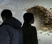 국내서 1000명 동시 피울 수있는 대마 재배한 '불법체류' 태국인들