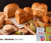 [PRNewswire] Angel Yeast, Bakery China 2022에서 Premium Dry Yeast 출시