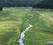 경상권 가뭄 불렀다 태풍 이끌다..북태평양 고기압의 '두 얼굴'